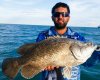 Tripletail